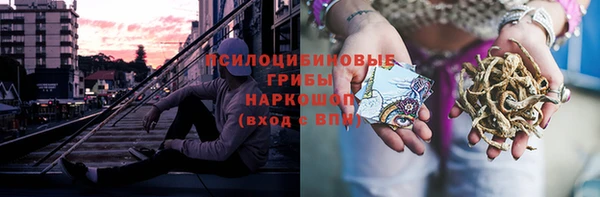 гидра Беломорск
